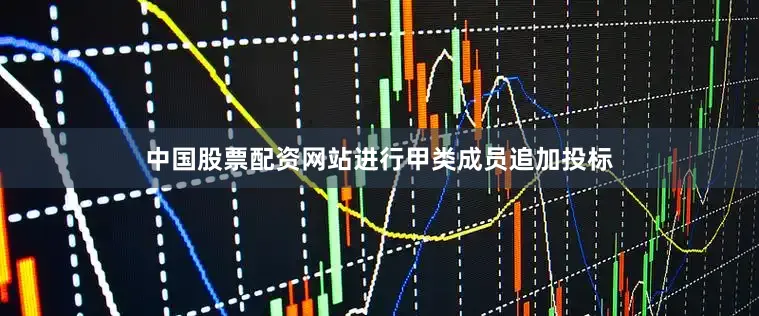 中国股票配资网站进行甲类成员追加投标