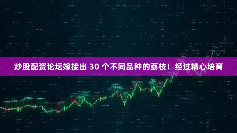 炒股配资论坛嫁接出 30 个不同品种的荔枝！经过精心培育