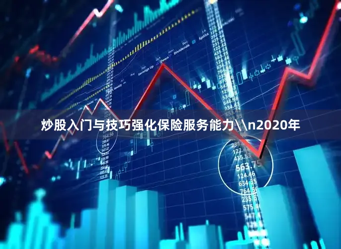 炒股入门与技巧强化保险服务能力\n2020年