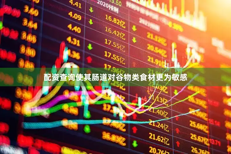 配资查询使其肠道对谷物类食材更为敏感