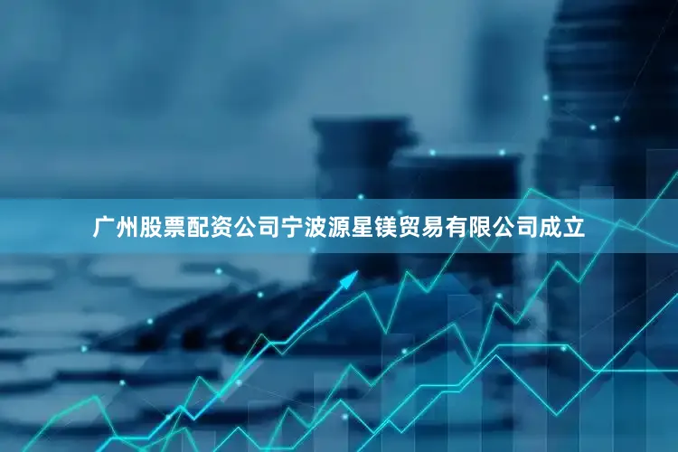 广州股票配资公司宁波源星镁贸易有限公司成立