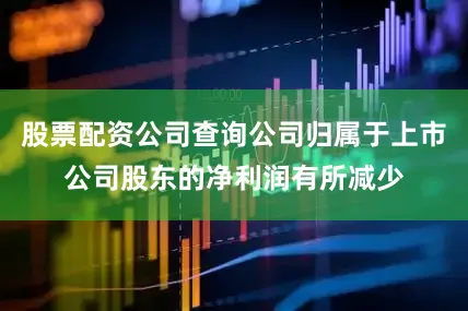 股票配资公司查询公司归属于上市公司股东的净利润有所减少