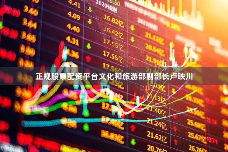 正规股票配资平台文化和旅游部副部长卢映川